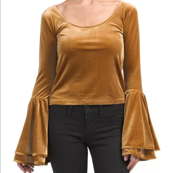 TORN BY RONNY KOBO Sabrina Velvet Bell Sleeve Top - Picture 2 of 8